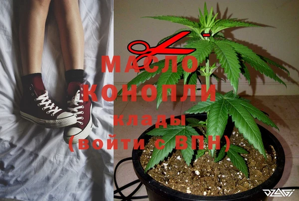 индика Белоозёрский