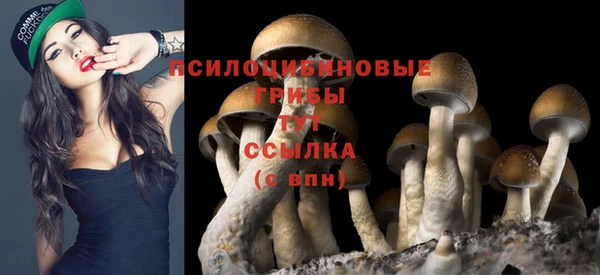 индика Белоозёрский