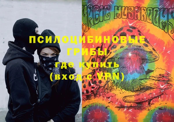индика Белоозёрский