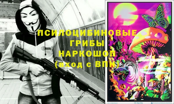 индика Белоозёрский