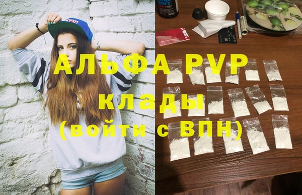 винт Каменка