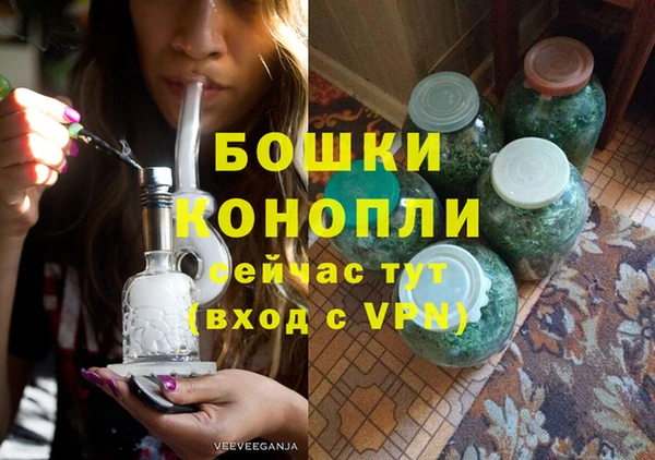 индика Белоозёрский