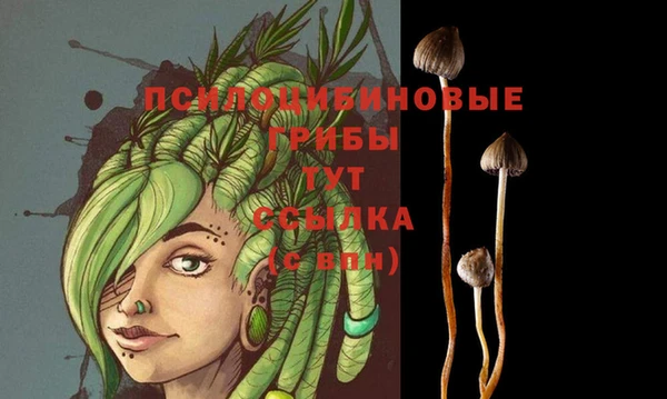 прущая мука Беломорск