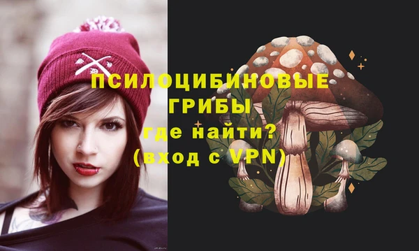 индика Белоозёрский